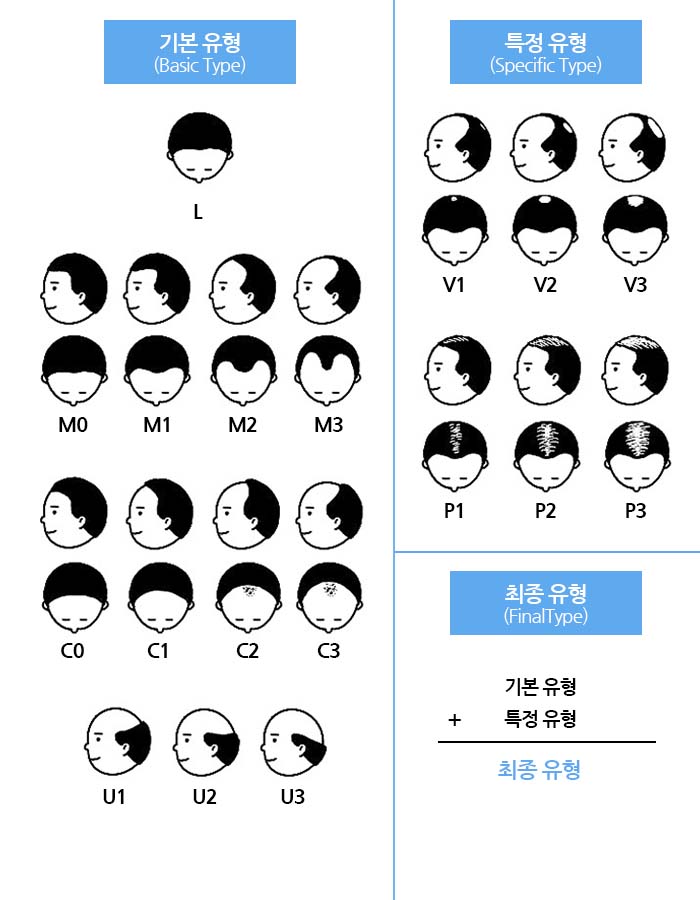 Hair Loss_BASP Hair Loss Classification