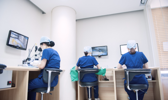 디지털 현미경 모낭분리